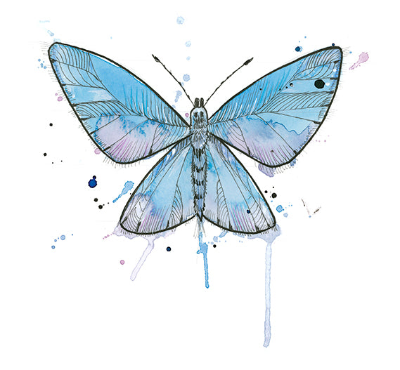 Blue Common Butterfly