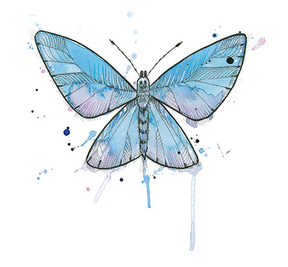 Blue Common Butterfly